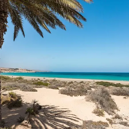 Home2book Comfy Corralejo, Pool&terrace